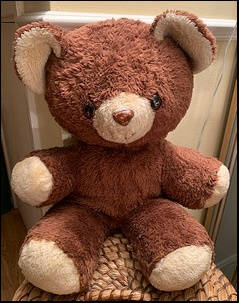 Mark C.'s Big Ted after treatment