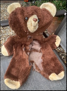 Mark C.'s Big Ted before treatment