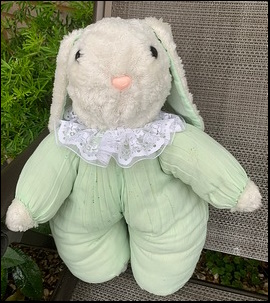 Marie F.'s Bunny after treatment