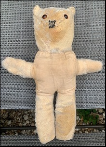 Meryl P.'s Teddy nearly ready