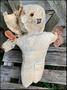 Meryl P.'s Teddy before treatment Meryl P.'s Teddy before treatment