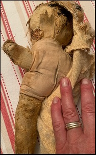 Meryl P.'s Teddy opened up further