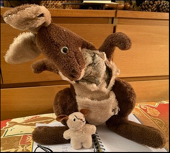 Norma B.'s Kanga and Baby Roo before treament Norma B.'s Kanga and Baby Roo before treament