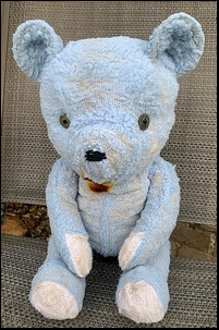Richard & Freddy M.'s Blue Ted after treatment