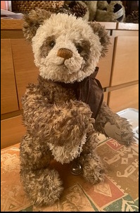 Saul & Sophie E.'s Special Bear after treatment
