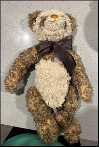 Saul & Sophie E.'s Special Bear before treatment