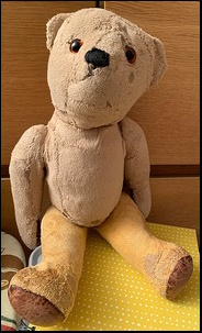 Sallyanne F.'s Teddy after treatment