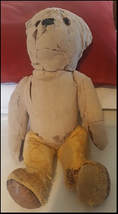 Sallyanne F.'s Teddy before treatment