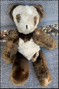 Sara G.'s Panda before treatment
