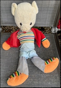 Steve S.'s Teddy before treatment