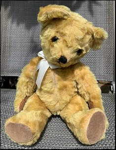 Margaret B.'s Teddy after treatment