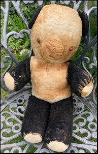 Pauline W.'s Teddy before treatment