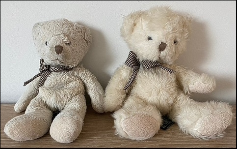 Fluffy Bear (l) and his twin brother Fluffy Bear (l) and his twin brother
