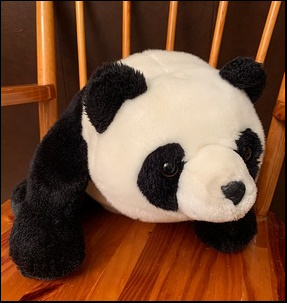 Warren D.'s Panda after treatment Warren D.'s Panda after treatment