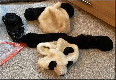 Warren D.'s Panda before treatment