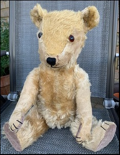 Ann A.-S.'s Teddy after treatment