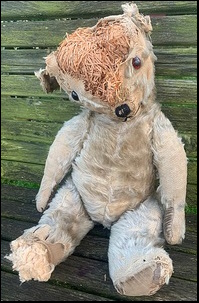 Ann A.-S.'s Teddy before treatment