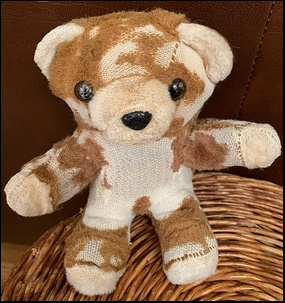 Amy H.'s Bear after treatment
