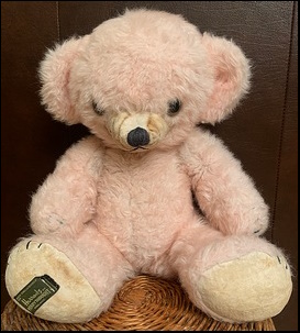 Asquith customer's Teddy after treatment