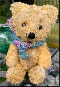 Clare O.'s Teddy after treatment