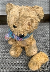 Clare O.'s Teddy before treatment