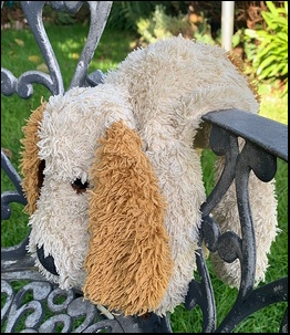 Dan M.'s Doggo before treatment