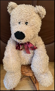 Dan M.'s Harry after treatment