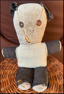 Dick S.'s ChiChi before treatment