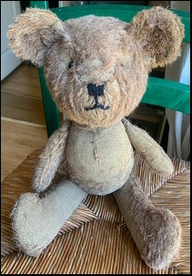 David W.'s Teddy after treatment