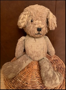 David W.'s Teddy before treatment