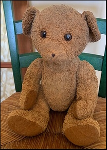 Ellie H.'s Teddy after treatment