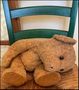 Ellie H.'s Teddy before treatment