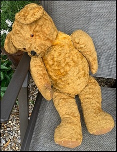 Joan B.'s Big Ted before treatment