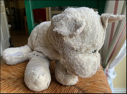 Jessica H.'s Wesley before treatment