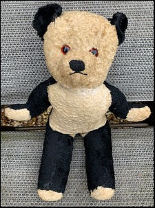 John W.'s Panda before treatment