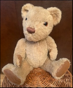 John W.'s Teddy after treatment