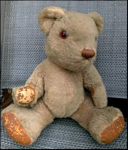 John W.'s Teddy before treatment