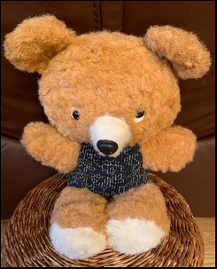 Kirill A.'s Mishka after treatment