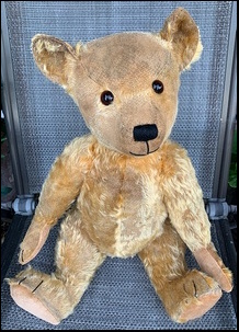Lorna M.'s Teddy after treatment