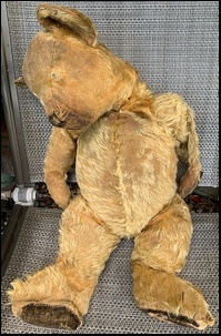 Lorna M.'s Teddy before treatment