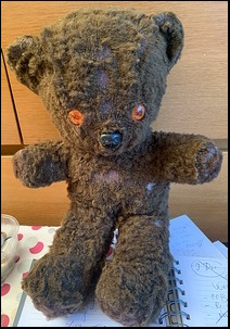 Mark M.'s Wooly after treatment