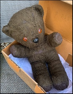 Mark M.'s Wooly before treatment