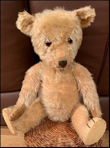 Marion T.'s Big Ted after treatment