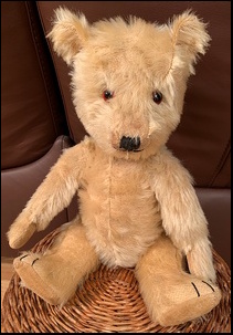 Marion T.'s Little Ted after treatment