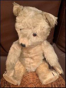 Marion T.'s Little Ted before treatment