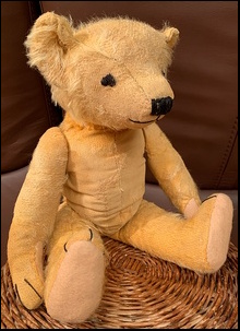 Marion T.'s Yellow Ted after treatment