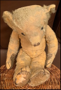 Marion T.'s Yellow Ted before treatment