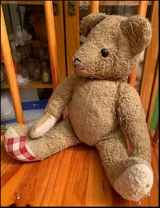 Nym M.'s Teddy before treatment