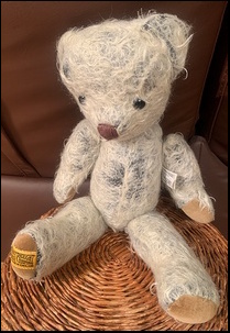 Paul B.'s Bear after treatment