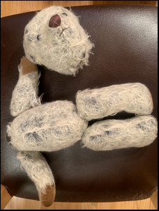 Paul B.'s Bear before treatment